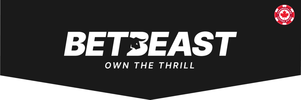 Key Details You Can Expect from Our BetBeast Casino Review