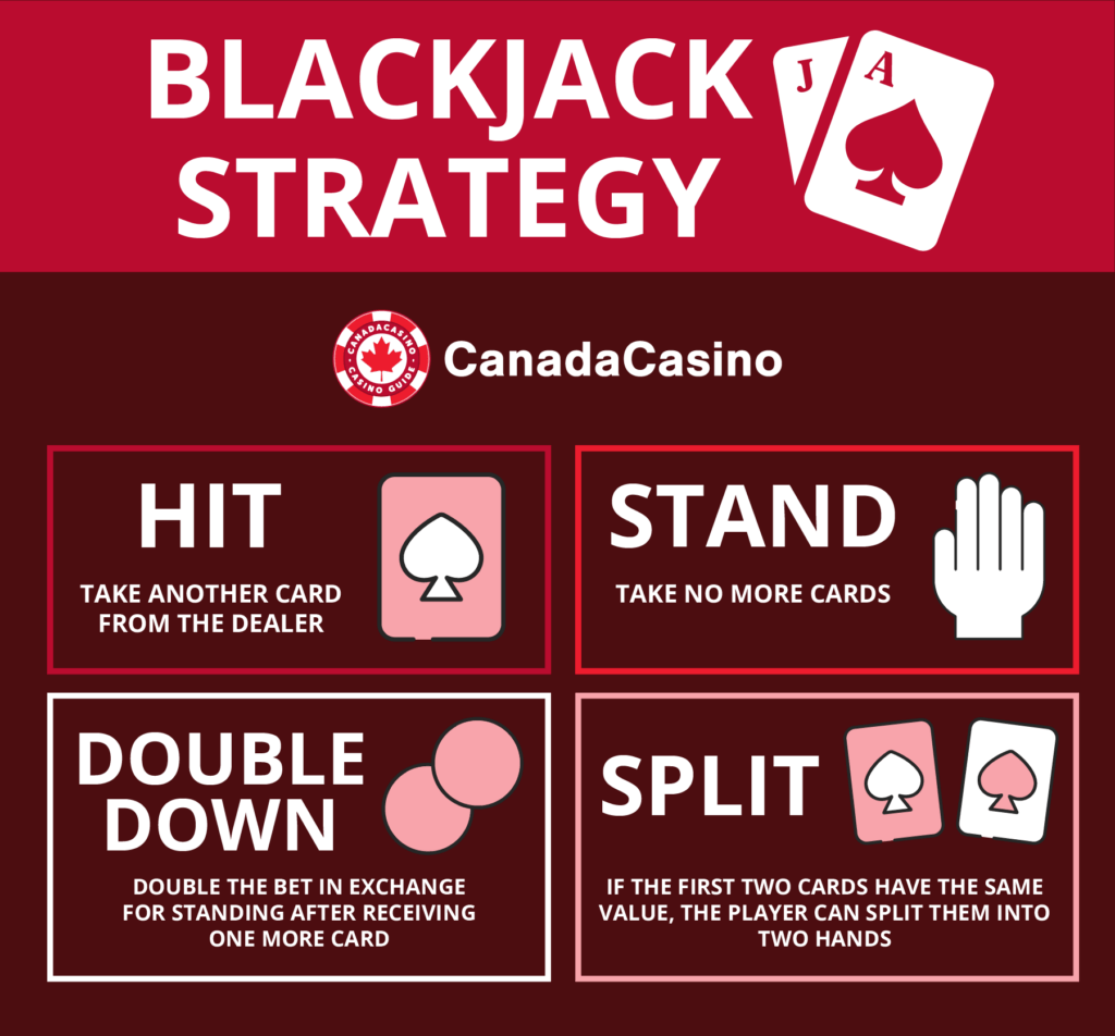 <strong>Familiarize yourself with all rules, odds, bets, and payouts.</strong>