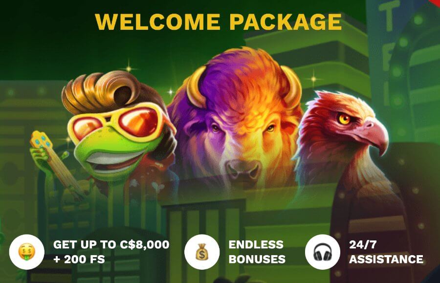 Although the <strong>wagering requirement is somewhat elevated at 40x</strong> , this is reasonable given the substantial bonus amount. You have <strong>14 days</strong> to meet the wagering conditions associated with the deposit bonus.