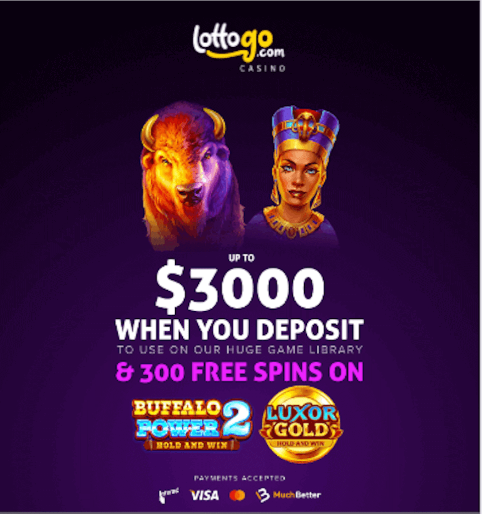 Welcome Offer at LottoGo - Canadian Casino