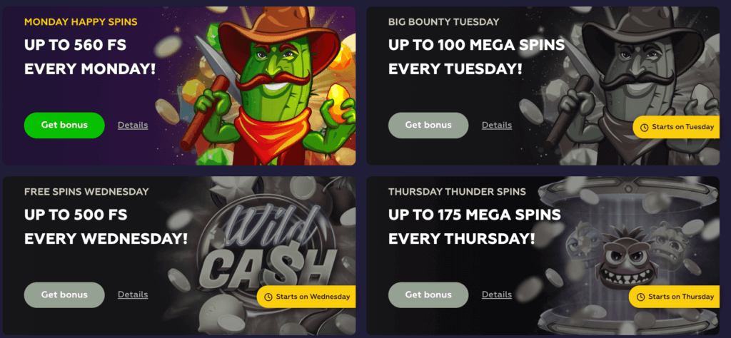 Playfina's daily free spins offers for Canadian players</strong> are available, and there's potential for a no-deposit bonus to be introduced in the future, so keep checking this review for updates!