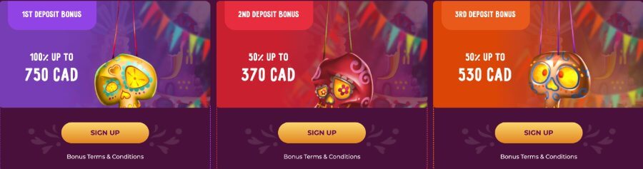 slotvibe welcome package